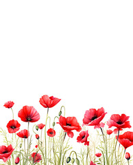 Wall Mural - Watercolor Red Poppies Banner Background with copy space