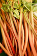 Rhubarb on a market stand