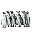 Giraffes of penguins standing in a row on a Transparent Background
