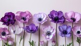 Fototapeta  -   A row of purple and white flowers on a pink background with green stems