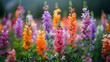 Vibrant Snapdragon Field A Dynamic of Documentary and Editorial Photography