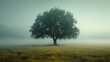   A solitary tree stands amidst a sea of tall grass on a hazy day in the midst of a field