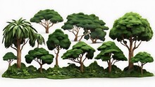 Jungle Rain Forest Trees Shapes Cutout 3d Render