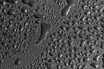 Canvas Print - Water drops on a black background. Texture