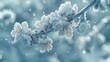   A close-up image of a tree branch coated in snow and adorned with water droplets