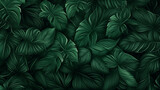Fototapeta  - Nature green tropical leaves