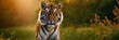 Close-up of a Sumatran tiger in a jungle.with Generative AI technology	
