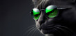 smart black cat with green eyes side view wearing sunglasses on black background close up, macro