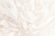 A soft, dreamy illustration of an abstract floral pattern in light pink and white hues, with delicate feathers 