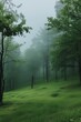 Idyllic and scenic view of trees on green grassy landscape in natural forest under dense foggy weather	