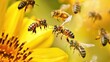 Bees organizing a synchronized flight pattern for efficient pollination