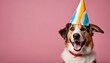 Celebration Canine: Adorable Dog Posing with a Party Hat