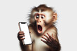 Shocked real monkey holding smartphone with white mockup screen on color background