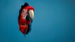 Putziger Papagei schaut durch Wand mit Platzhalter für Zoo und Züchter im Querformat für Banner, ai generativ