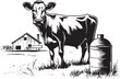 Moo licious Meadows Cow and Milk Can Vector Design on Lush Grass Verdant Valley Vision Grass Farm Logo with Cow and Milk Can