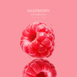 Creative layout made of raspberry on the pink background. Food concept. Macro concept.