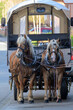 Deux chevaux de trait attachés à une calèche attendent sur un trottoir 