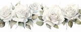 Fototapeta Perspektywa 3d - White roses watercolor clipart on white background, defined edges floral flower pattern background with copy space for design text or photo backdrop minimalistic 