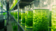 Closeup of algae biofuel cultivation in a laboratory, green sustainable energy research, focus on bioreactors with vibrant green algae ,hyper realistic, low noise, low texture