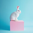Cute white rabbit standing on a pink cube on blue pastel background. Abstract minimal Easter concept.	