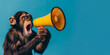 cute chimpanzee monkey holds a yellow loudspeaker business management concept attract attention. aggressive marketing isolated with blue background