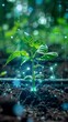 © Montree - Young plant with cyber display of technological smart farming 4.0 Smart Farming and Agriculture Innovation Concept.