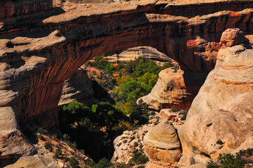 Wall Mural - A close-up of the big span of Sipapu Bridge, Natural Bridges National Monument, Utah, Southwest USA.