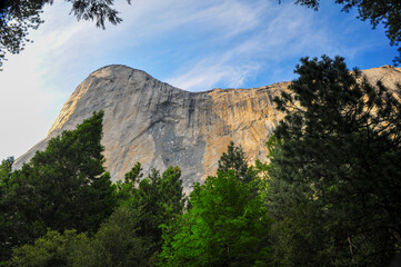 Wall Mural - The famous sheer rock face of El Capitan and the woods below, Yosemite National Park, California, USA.