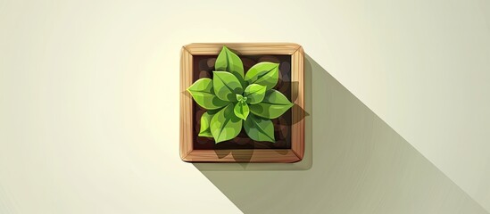 Poster - A terrestrial plant in a rectangle wooden box casting a long shadow on a white background. This art piece features a houseplant in natural material