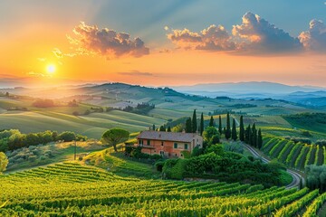 Poster - The sun sets behind the rolling hills, casting a warm golden glow over the landscape as it dips below the horizon