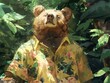 A bear wearing a hawaiian shirt is standing in a lush forest, looking up at the sun and breathing in the fresh air.