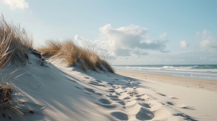 Canvas Print - A tranquil sandy beach with grass and sand dunes. Perfect for travel and nature concepts