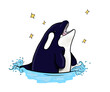 orca killer whale marine animal cute funny frawing illustration kids adorable water 