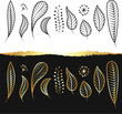 Set of golden and black plant leaf silhouettes elements
