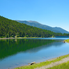 Wall Mural - Morning on the shore of a picturesque lake.