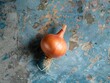 single shallot rests gracefully on a textured blue concrete surface, awaiting its transformation in the kitchen. The shallot's papery skin glistens under the light,