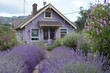 A cozy craftsman cottage exterior bathed in soft lavender hues, surrounded by fragrant lavender bushes.