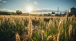 crop farming farming farm grain grain field with silos