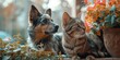 Dog and Cat Hanging Out on Front Porch Watching Looking at the Street Neighborhood, Furry Friends at Home Laying Down, Pet and Animal Wallpaper, Veterinarian Backdrop, Cute Background