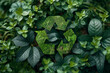 © franck - green background recycling nature protection environment