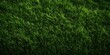 Green grass background texture. Close up of green grass. Top view.