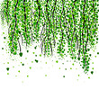 Birch branches hanging from above. hand drawing. Not AI. Vector illustration