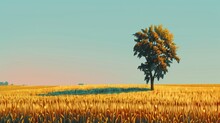 Gold Wheat Flied Panorama With Tree At Sunset, AI Generated