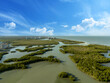 Blue sky over mangrove waterway just beyond the ocean