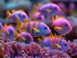 A group of colorful fish swimming in a coral reef. The fish are bright and vibrant, creating a lively and energetic atmosphere
