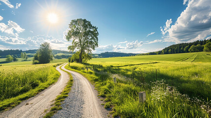 Sticker - A peaceful countryside road winding through lush green fields under a sunny sky.