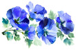 A beautiful blue iris flower in full bloom with velvety petals, isolated on a white background