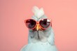 Close-up of the head of a funny  chicken  in sunglasses on a pink  background, generated by AI