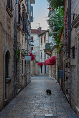 Wall Mural - Narrow street in the old town of Kotor, Montenegro