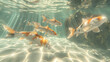 orange and white spotted koi fish swimming in clear water with rays of light, calming and peaceful background.